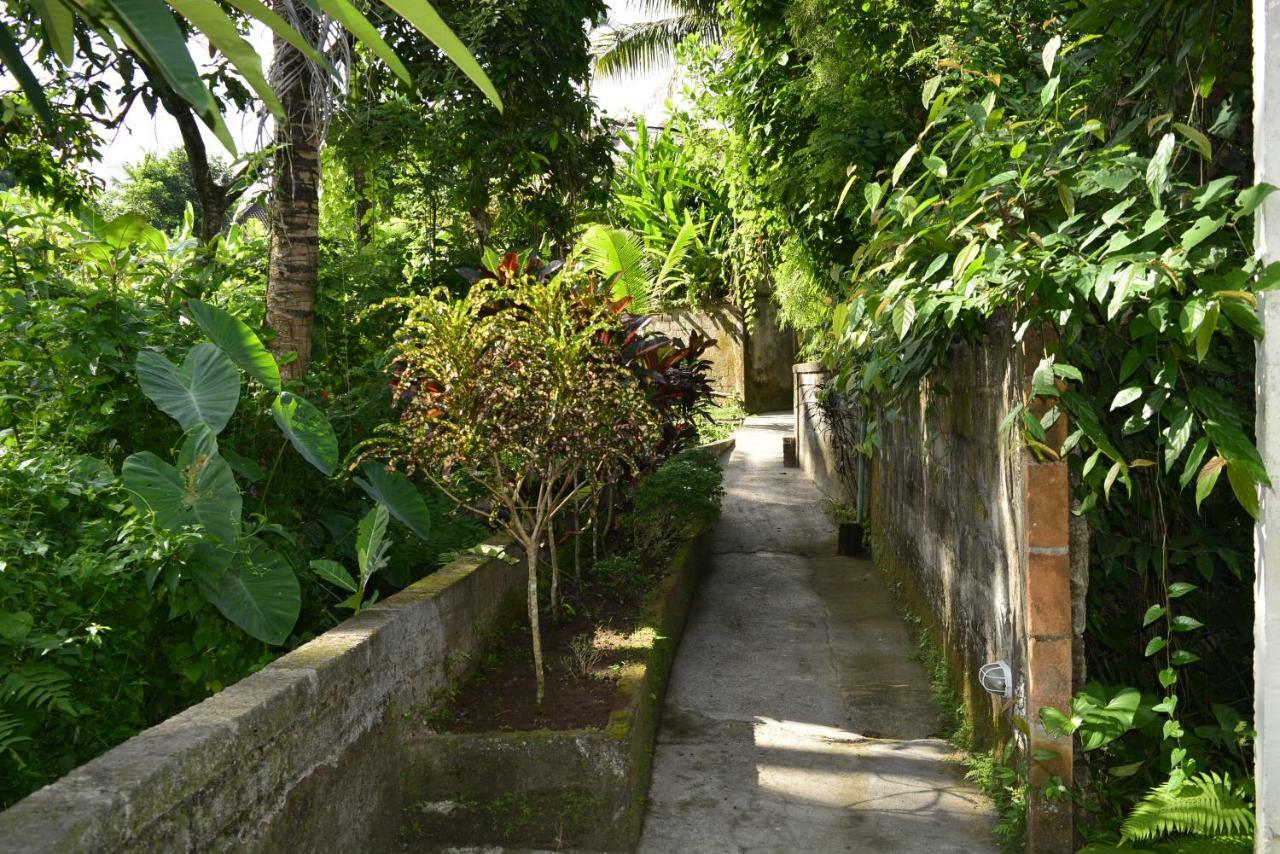 Villa Bindi Ubud Exterior foto